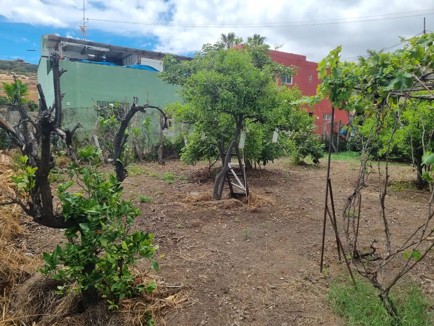 Terreno Residencial en  Lugar Llanos de Cuatro Caminos 122 - Foto 3