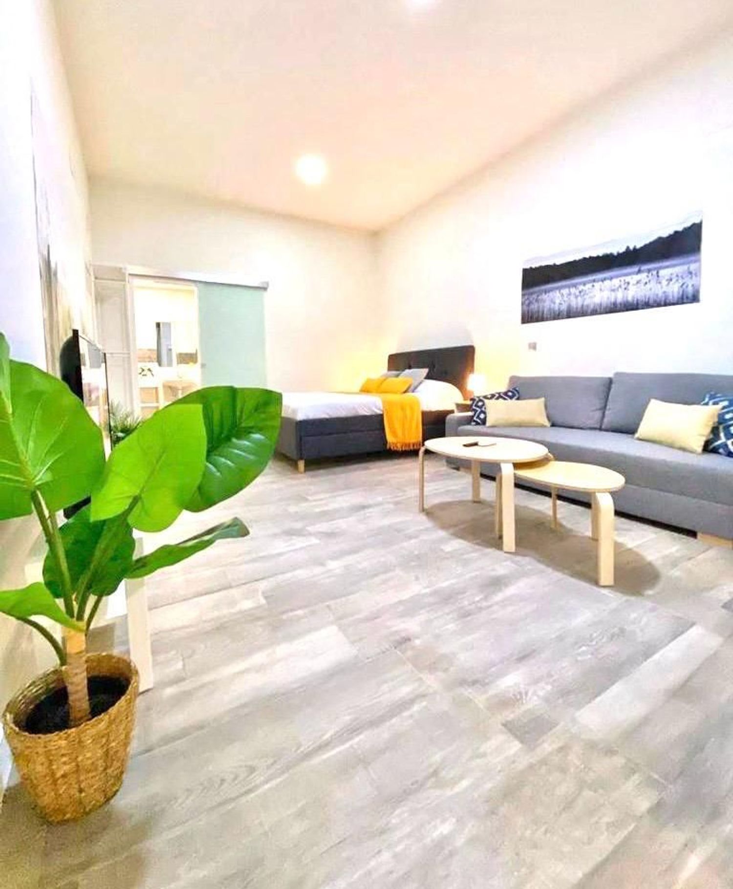 Estudio en calle Perdiguera, 18