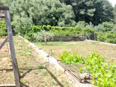 Finca rústica en  Barri Pla de Corrals 258 - Foto 30