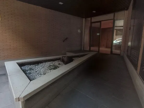 Piso en Calle de Sánchez Pacheco, 82, Ciudad Jardín - Foto 3