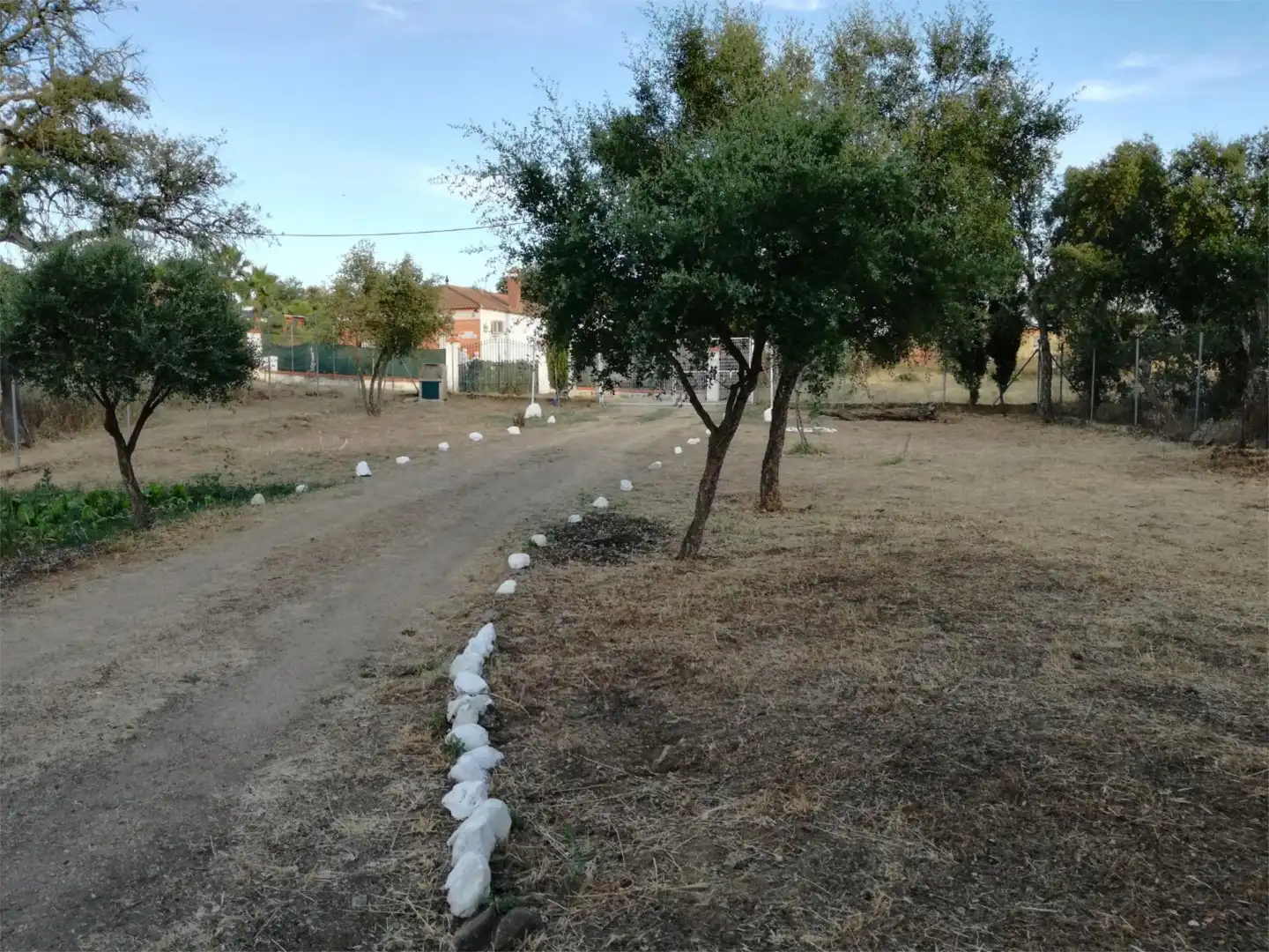 Finca rústica en  Calle Castilblanco de los Arroyos 1 - Foto 6
