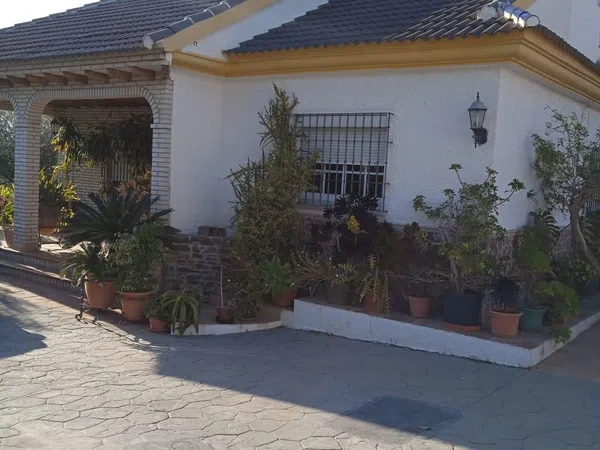 Finca rústica en Calle Sócrates, 56 - Foto 7