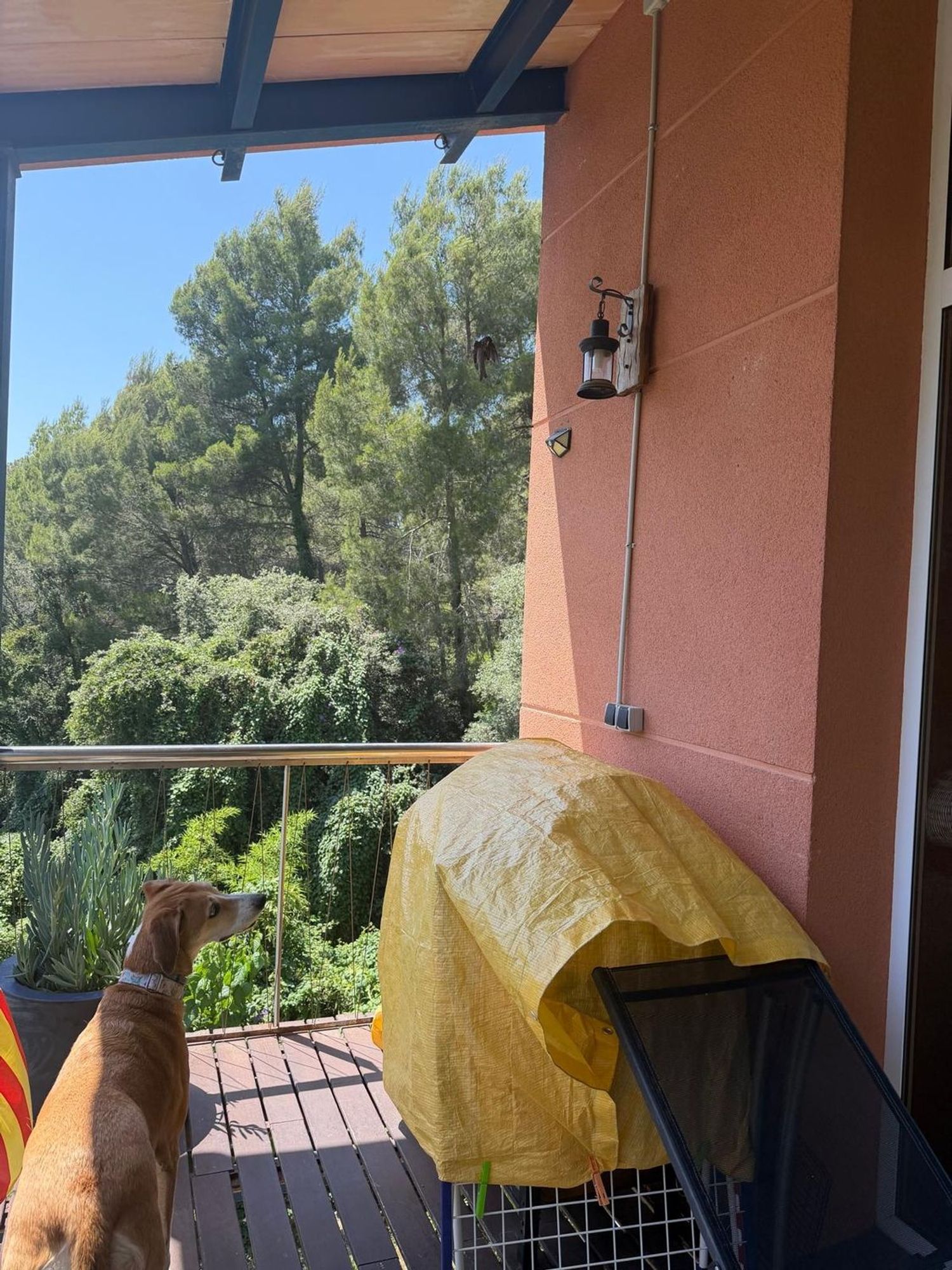 Casa o chalet independiente en Calle de José Echegaray, 31, Sant Muç - Castellnou - Can Mir, Sant Muç - Castellnou - Can Mir - Foto 37