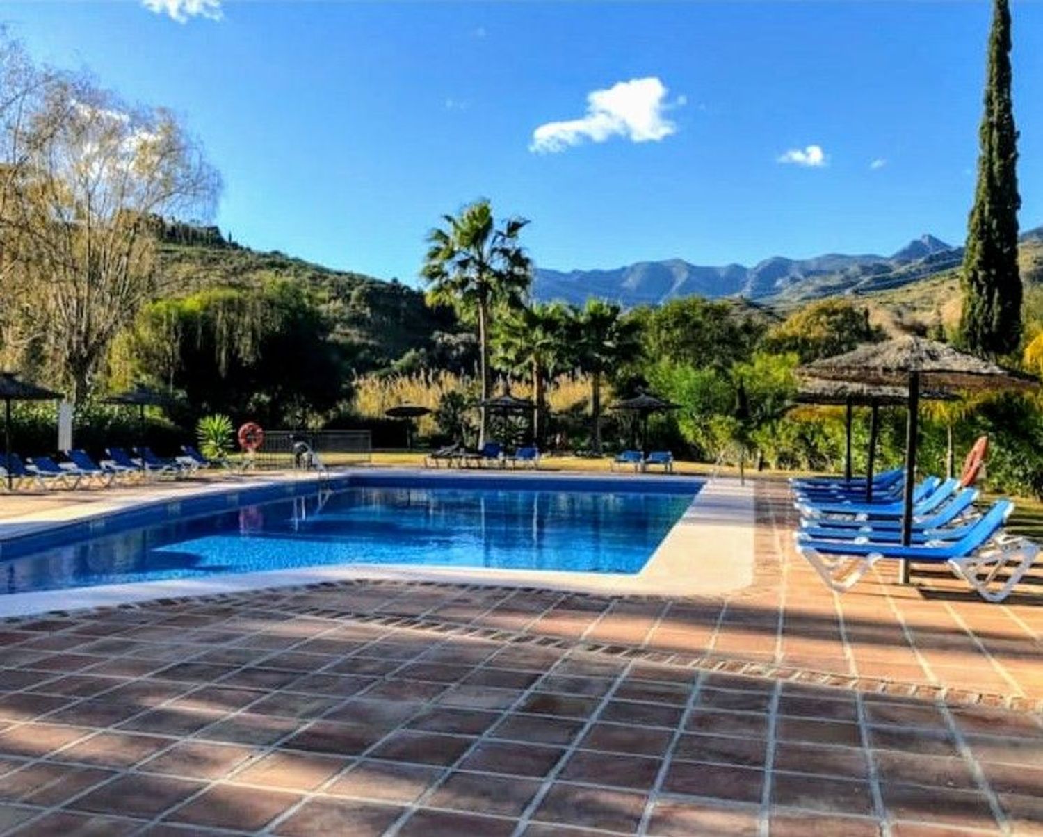 Piso en Pueblo del Rio, 1, Rio Real - Foto 28