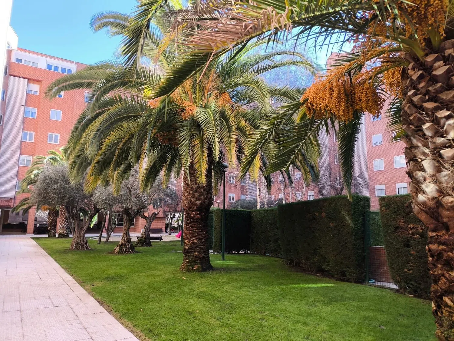 Piso en calle de la Aurora, 5 - Foto 10