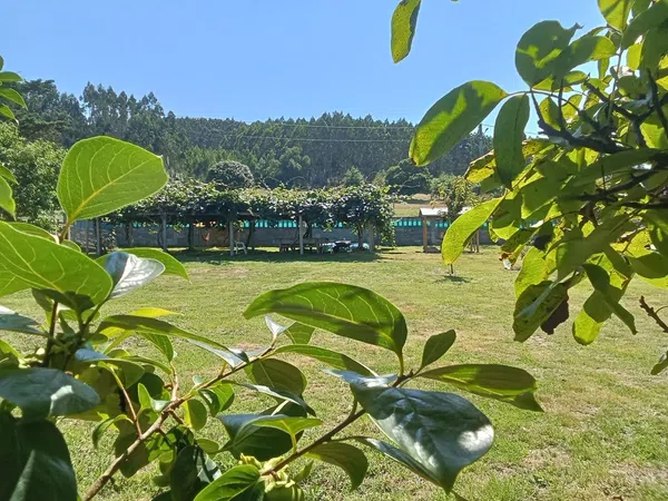 Casa o chalet independiente en Zarza, 2 - Foto 20