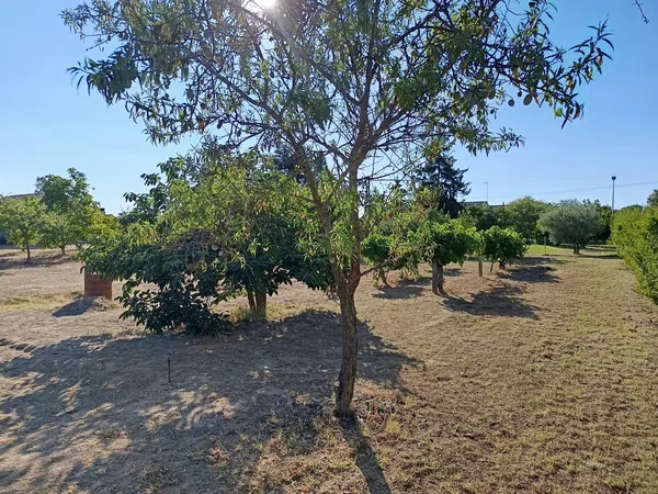 Casa o chalet independiente en Huelmos de San Joaquín s/n - Foto 13