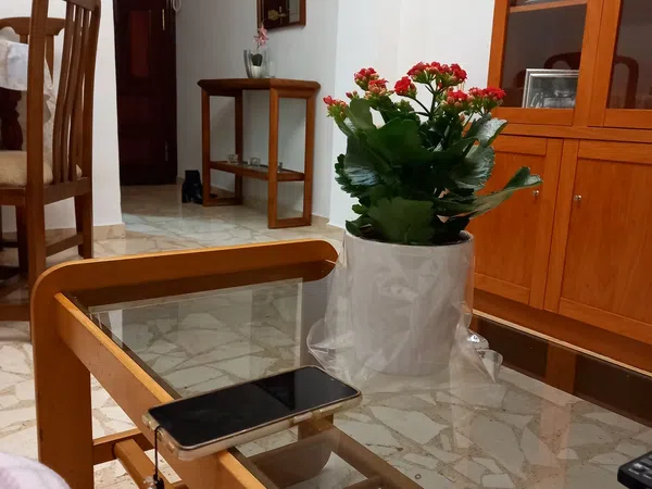 Piso en Otoño, 3 - Foto 10