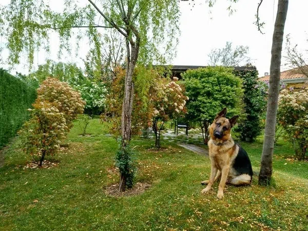 Casa independiente en Urb. campodón Barrio Campodón - Ventorro del Cano - Foto 23