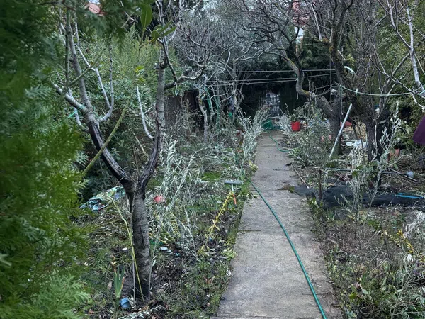 Chalet adosado en El Pilar - Bripac - Foto 10