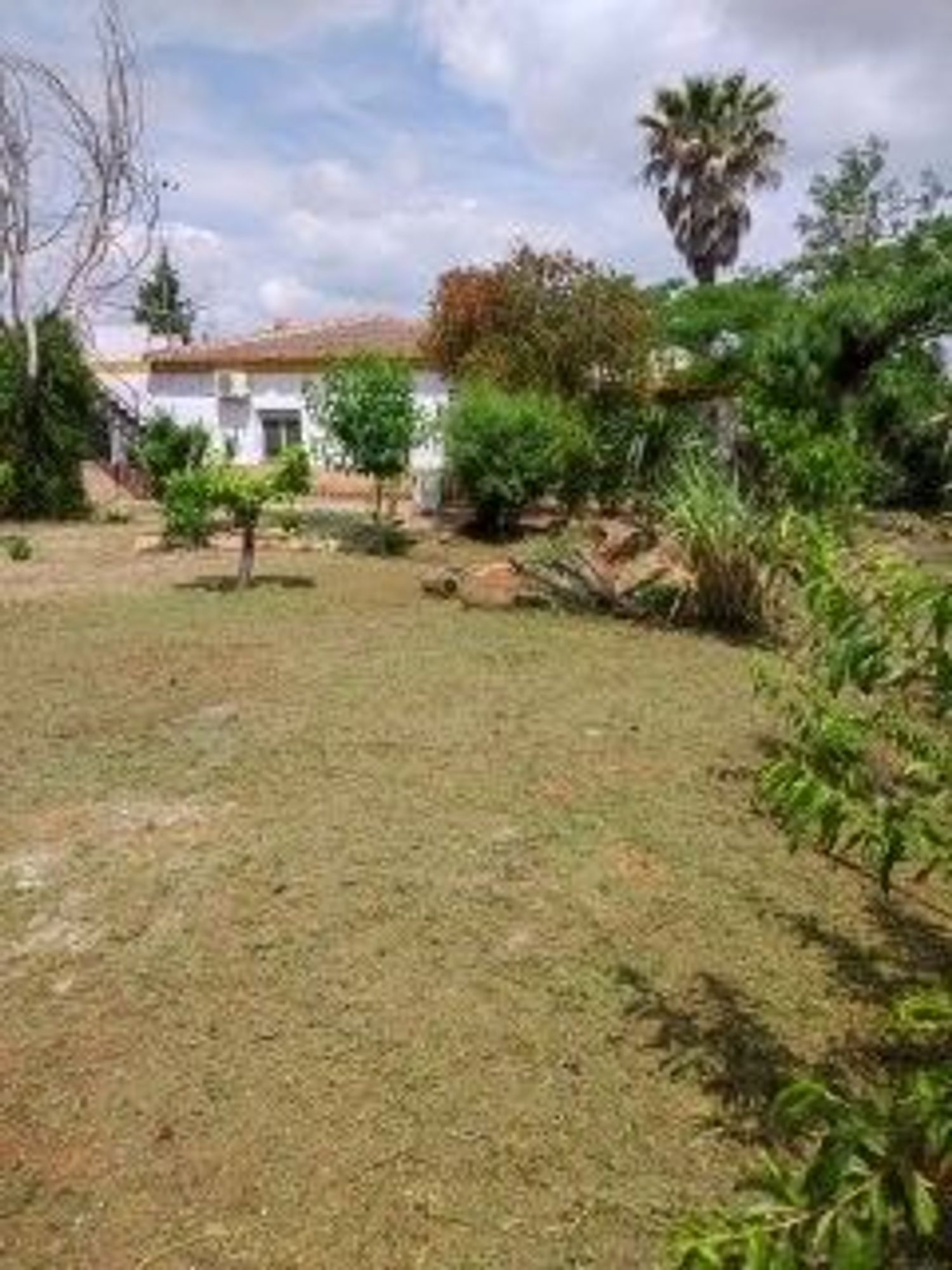 Casa o chalet independiente en Calle Almeria urb. Las Minas Golf, 44 - Foto 4