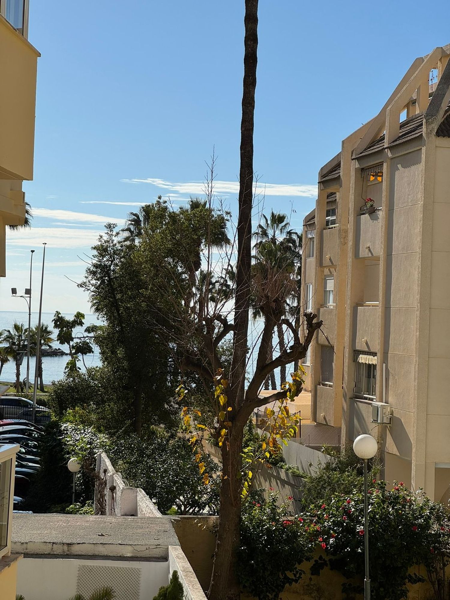 Dúplex en Paseo de Sancha, 16, Malagueta - Monte Sancha - Foto 7
