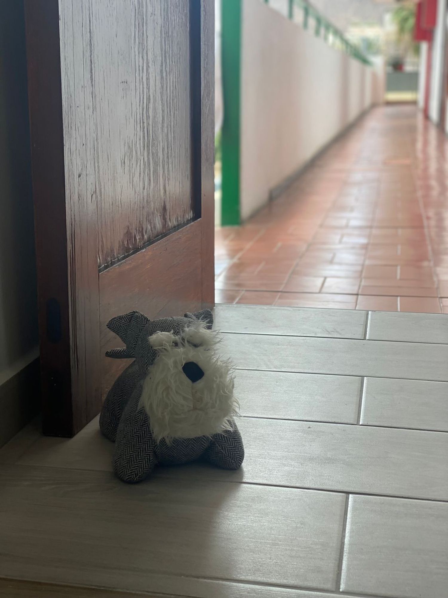 Estudio en avenida Juan Carlos I, 30 - Foto 14