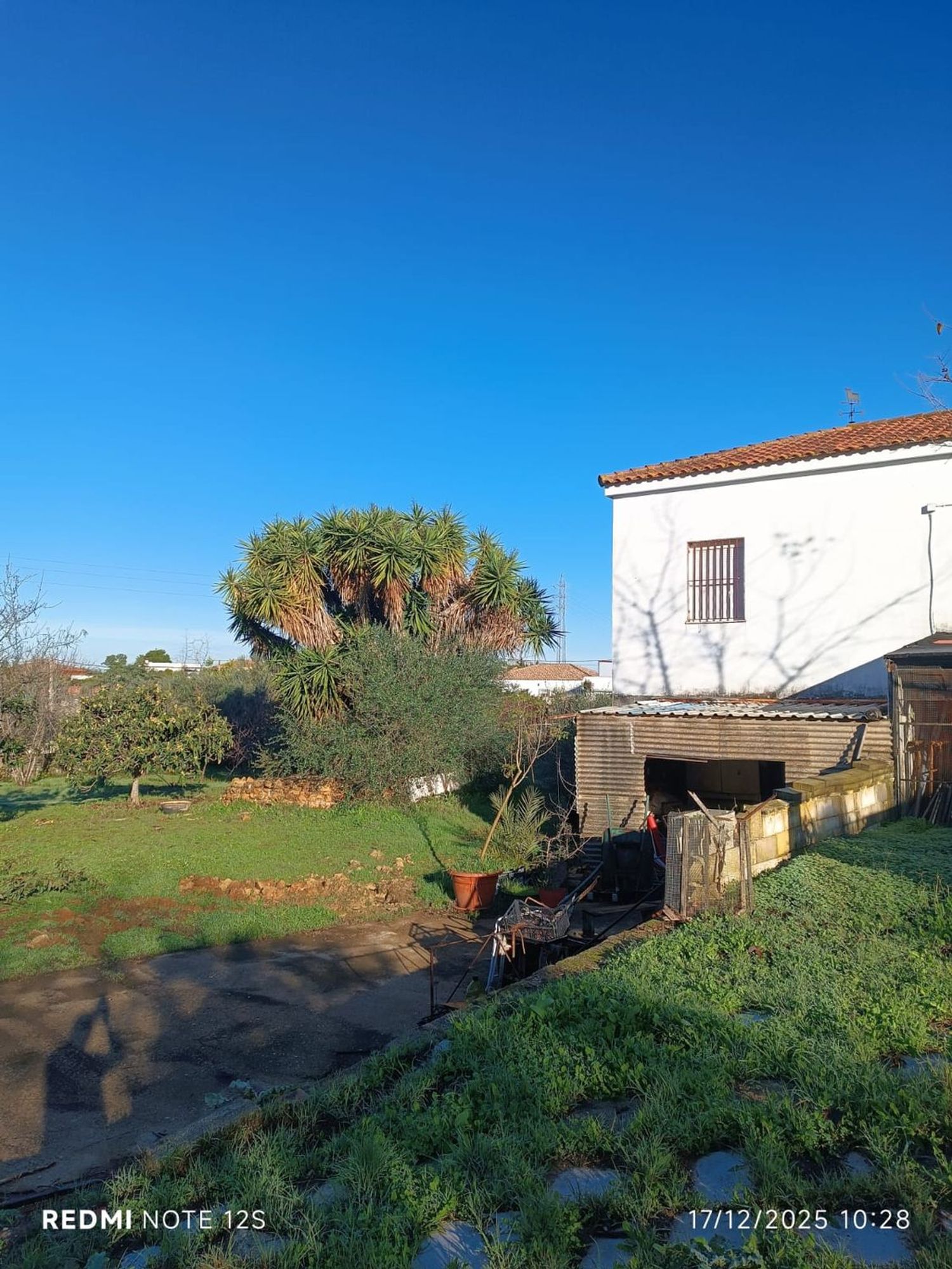 Finca rústica en Diseminados dirección a Puñanilla s/n - Foto 33