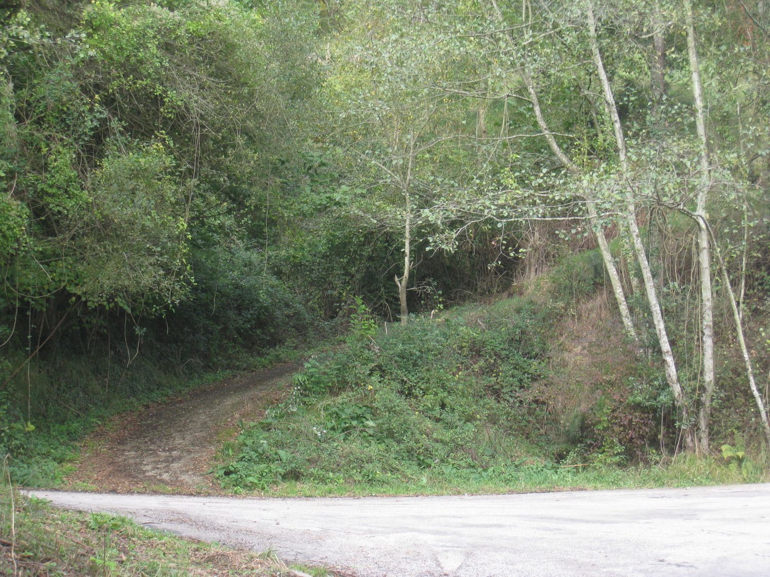 Finca rústica en El Mortero, Valvanuz s/n - Foto 12