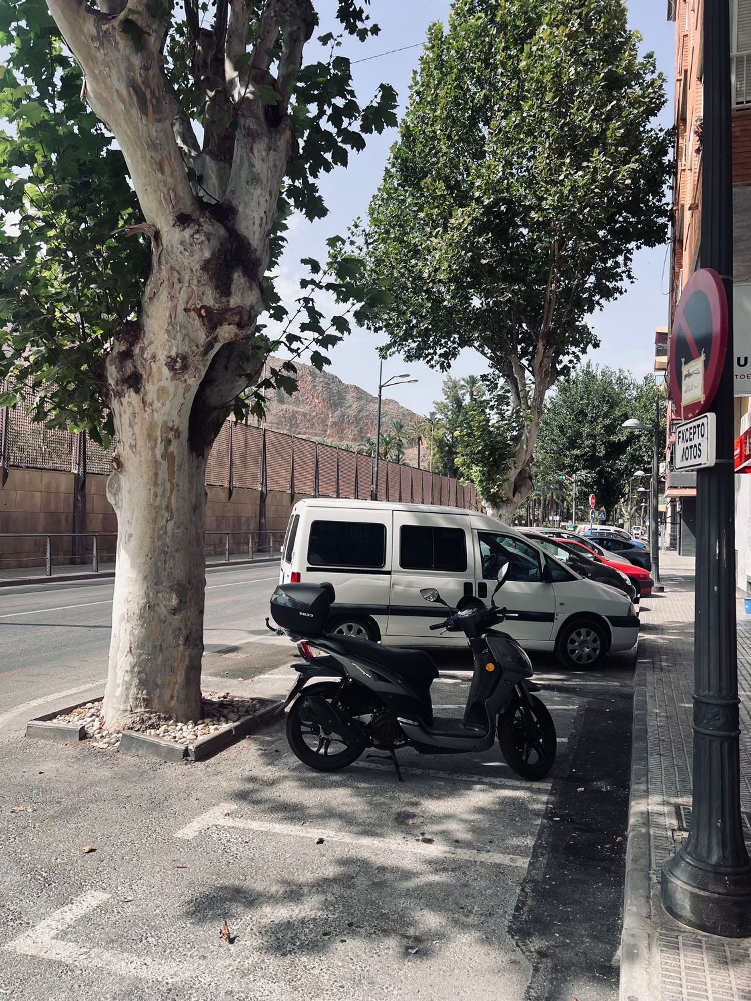 Piso en Avenida Doctor García Rogel, 14, Orihuela Ciudad, Orihuela Ciudad - Foto 14