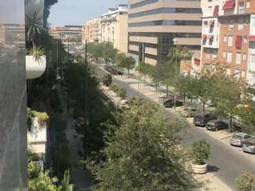 Piso en  Avenida de la Buhaira 18 - Foto 20