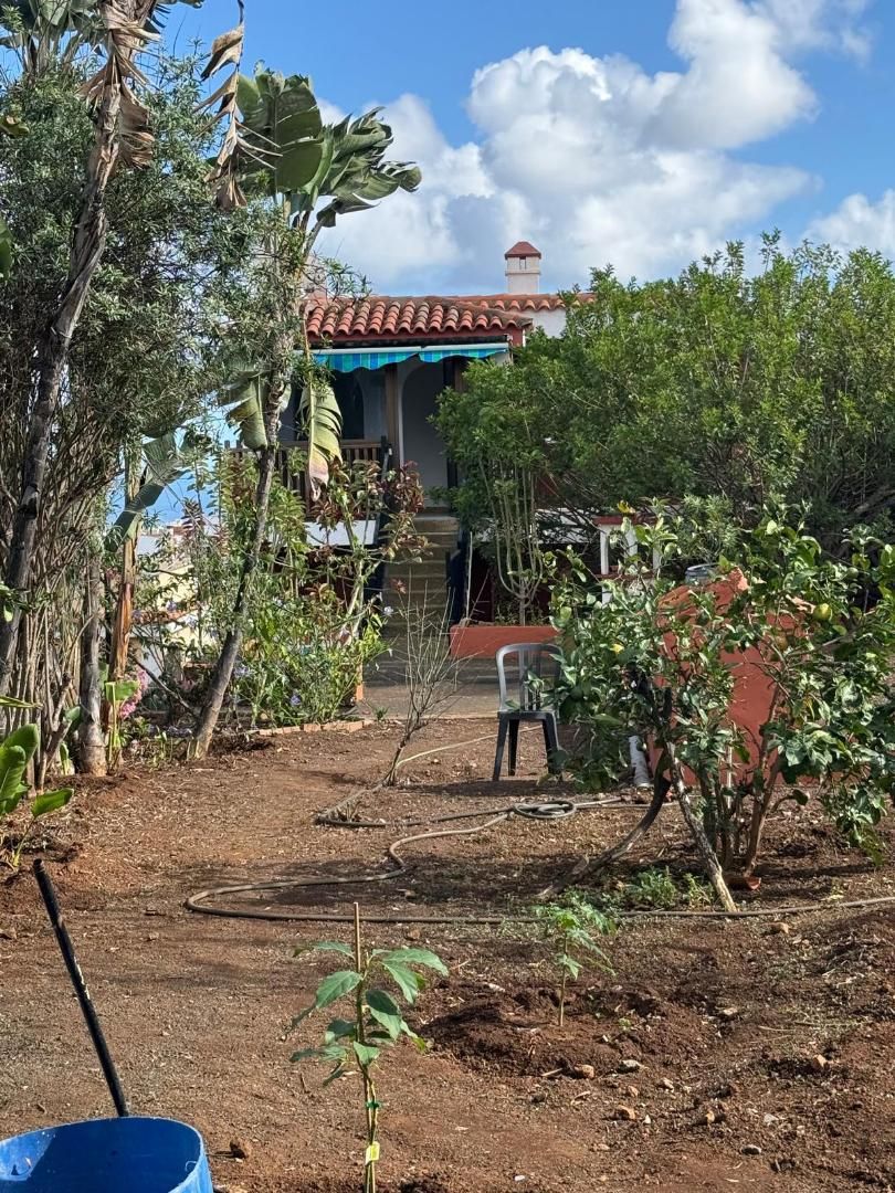 Planta baja en  Lugar Lomo el Diviso 21 - Foto 8