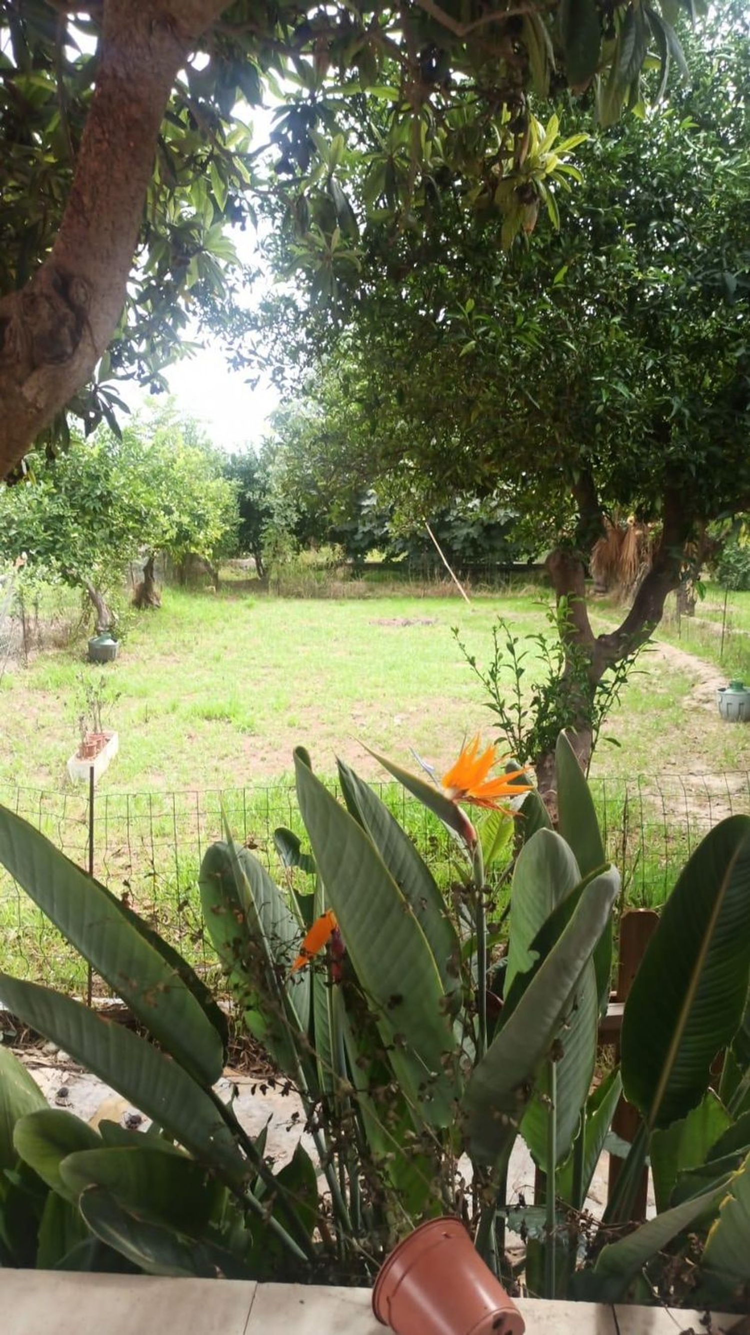 Casa independiente en carril Campillos, 1 - Foto 3