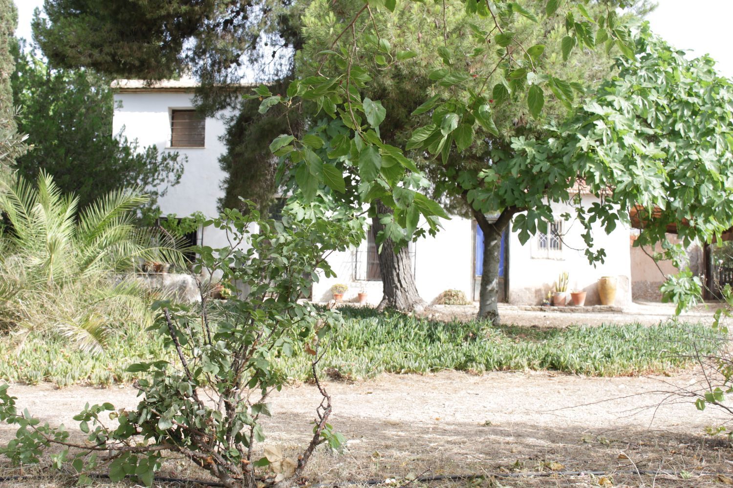Casa de pueblo en Calle La Serreta, 43 - Foto 3