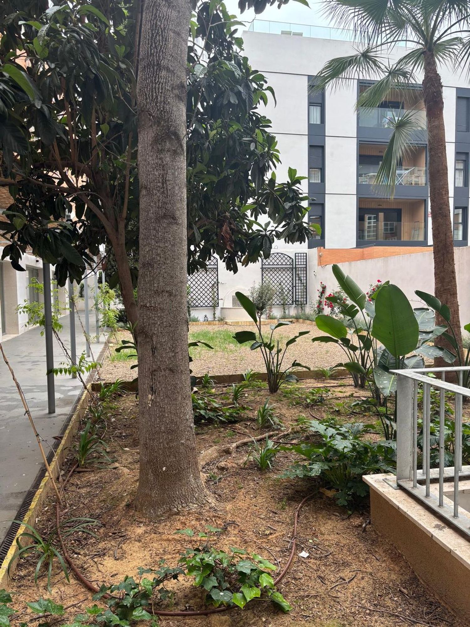 Piso en calle Mallén, 1 - Foto 16