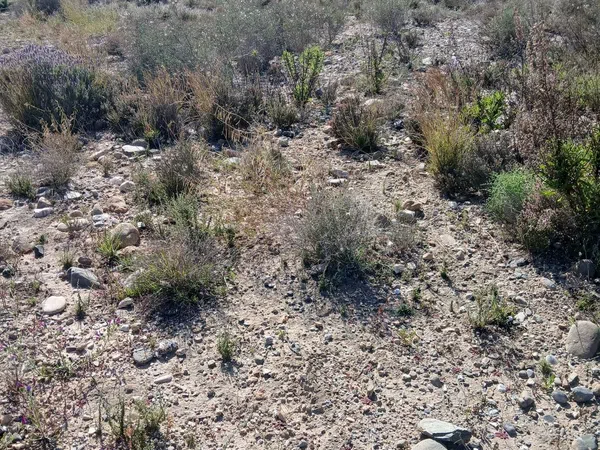 Cortijo en Barriada las Cunas s/n - Foto 10