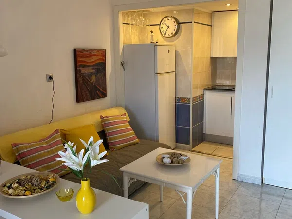 Estudio en Calle Martínez Catena, 6, Zona Puerto Deportivo, Zona Puerto Deportivo - Foto 11