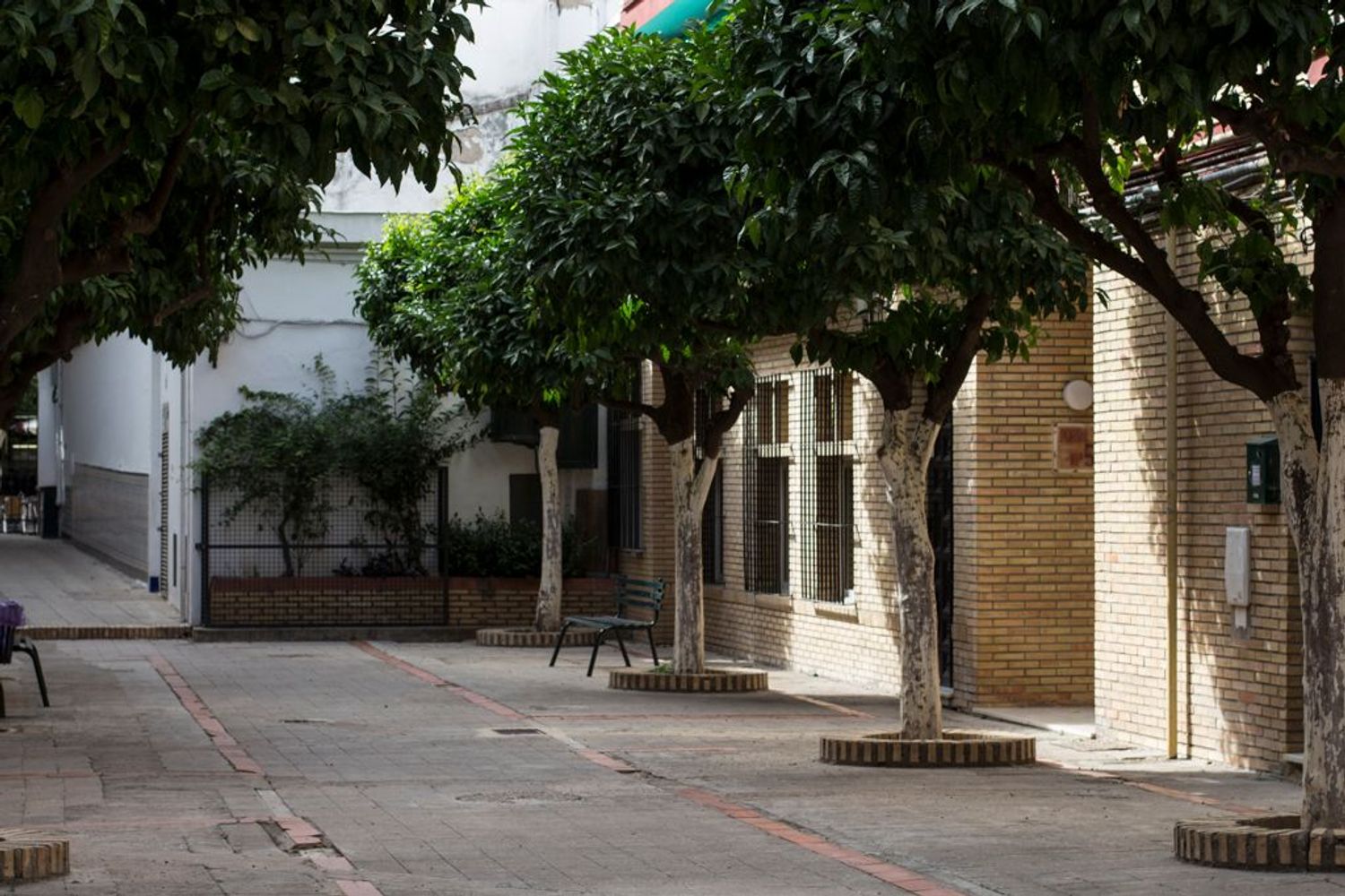 Piso en Calle San Jacinto, 25, Calle Betis - Pagés del Corro - Foto 8