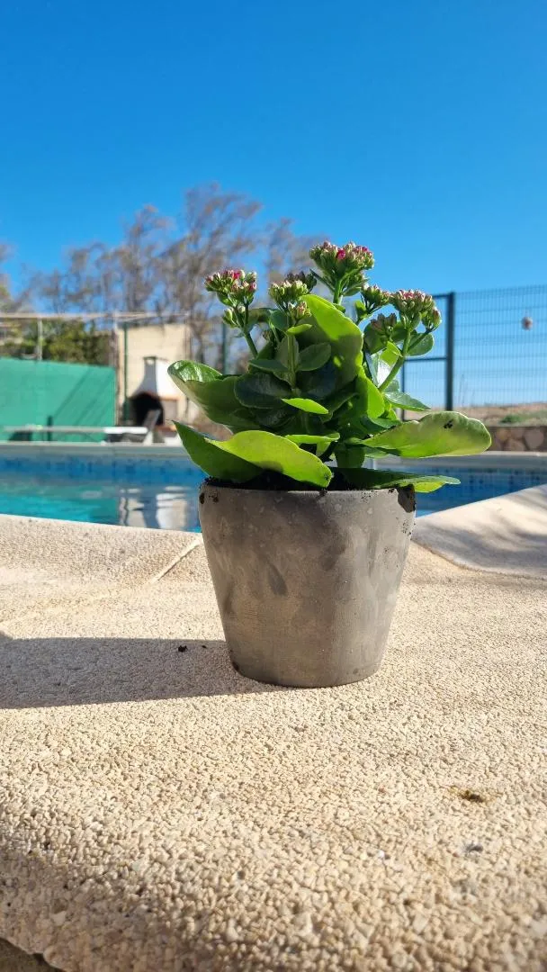 Chalet en  Entrada de Marina 258 - Foto 10