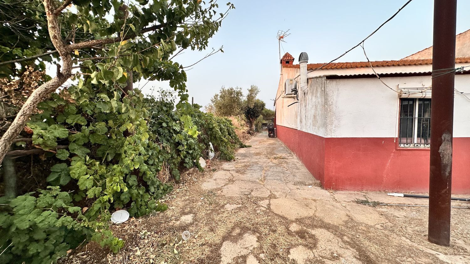Casa o chalet independiente en San Juan Trigueros Parcela 85 s/n - Foto 8