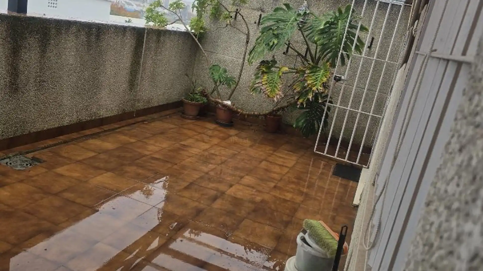 Piso en  Avenida de Ramón y Cajal 47 - Foto 5