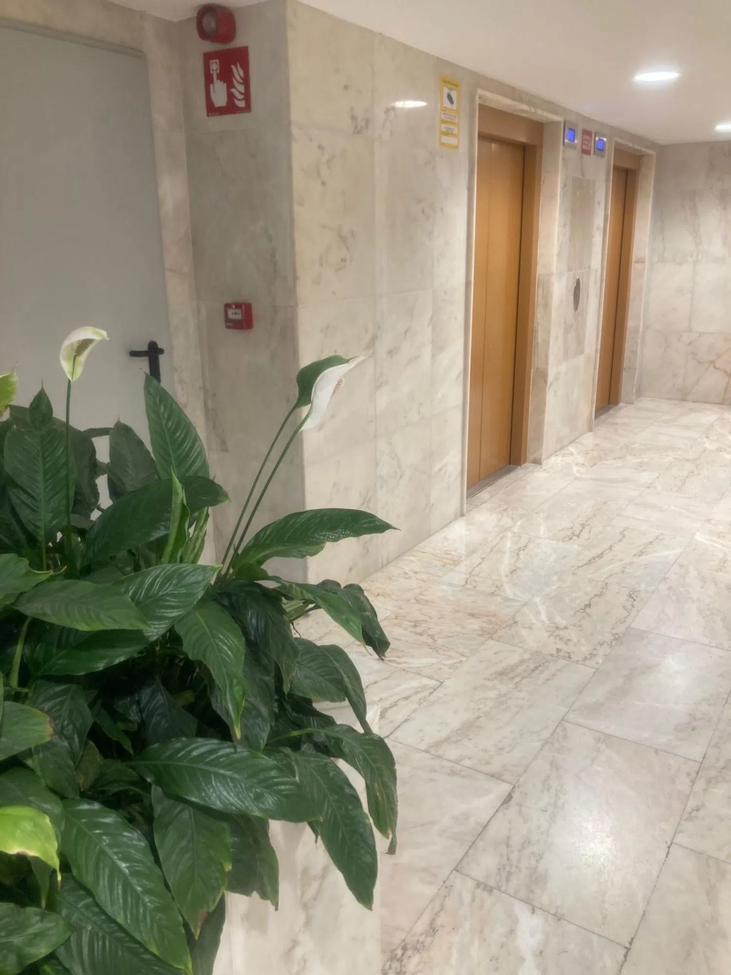 Piso en calle de la Princesa, 27 - Foto 10