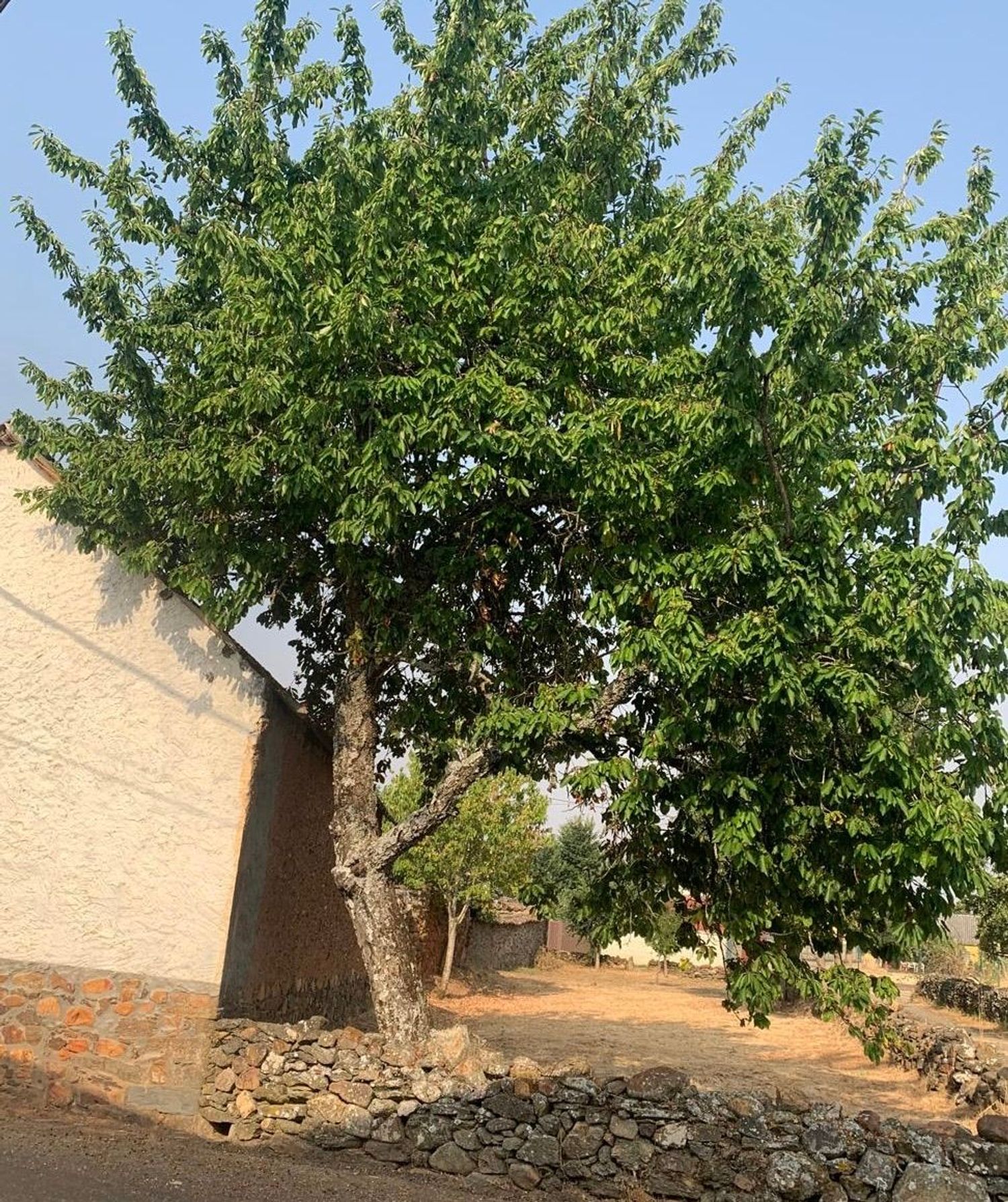Casa de pueblo en Calle Nueva, 4 a - Foto 4