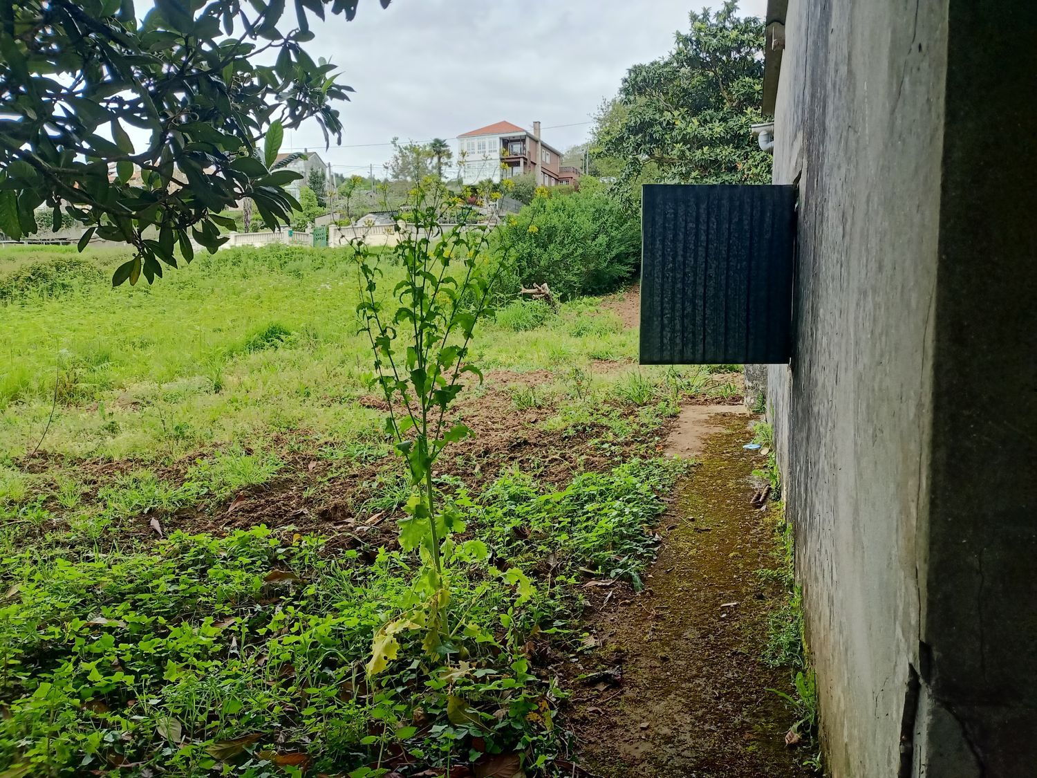 Finca rústica en Lugar Veiga, 5 - Foto 3