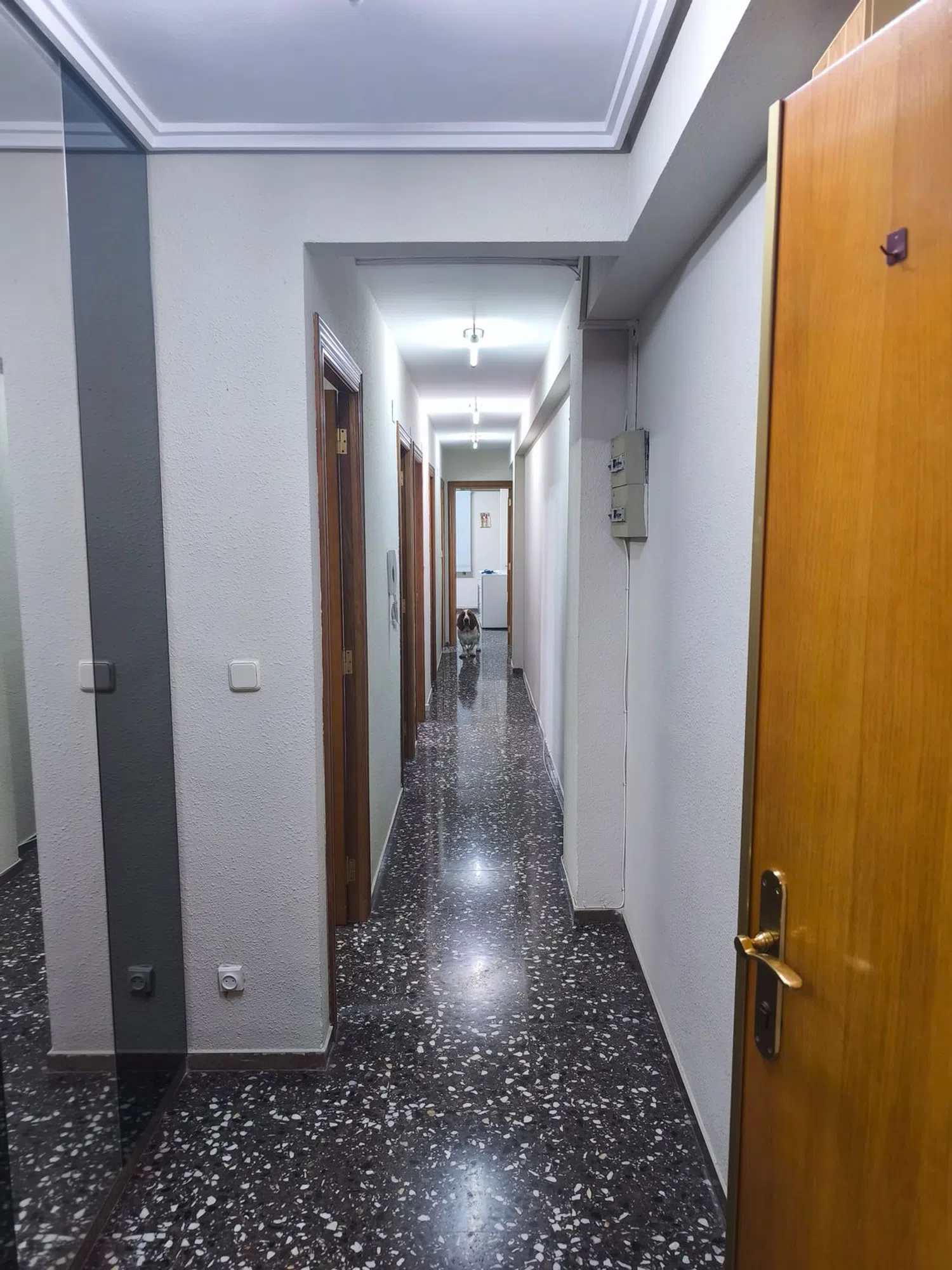 Piso en avenida Gaspar Aguilar, 64 - Foto 10