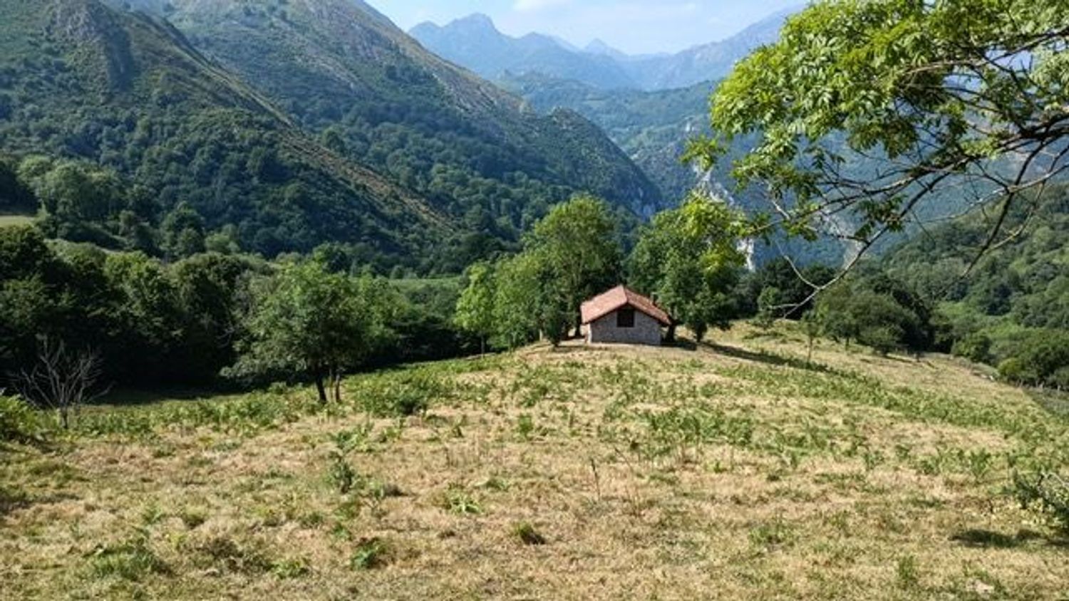 Finca rústica en Los Payares s/n - Foto 7