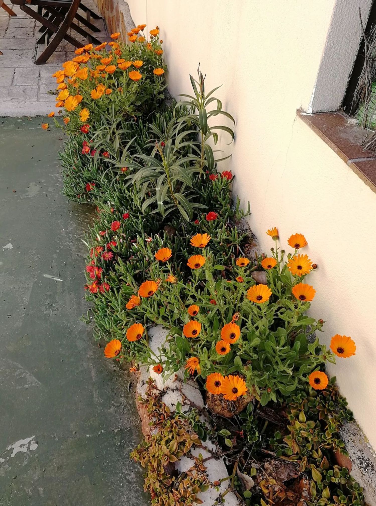 Casa terrera en Rambla Peralta, 1 - Foto 23