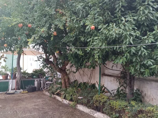 Chalet adosado en calle Antonio Machado, 35 - Foto 28