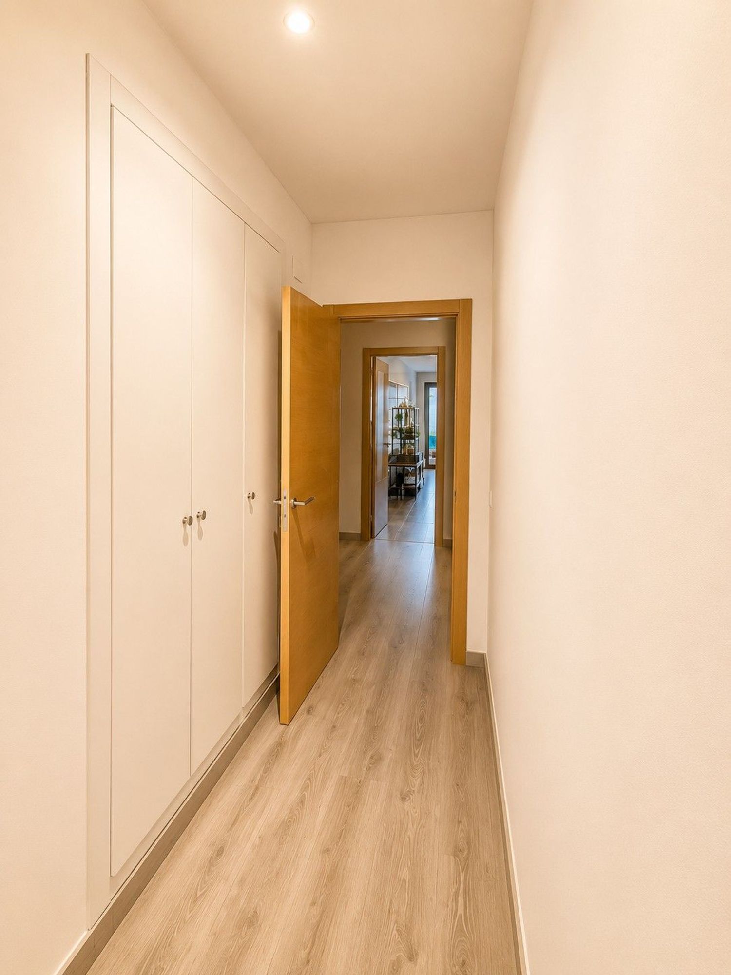 Piso en Calle de Nicolau Primitiu Gómez, 24, Sant Isidre - Foto 10