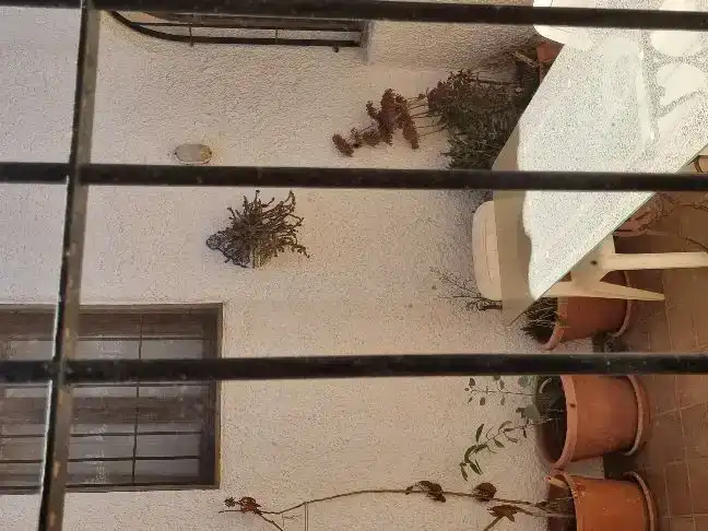 Chalet en  Calle Cuevas 35 - Foto 29