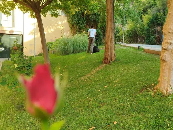 Piso en calle Escultor Freila Guevara, 14 - Foto 18