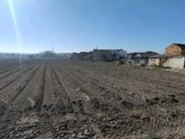 Finca rústica en Avenida de Andalucía, 156 - Foto 2