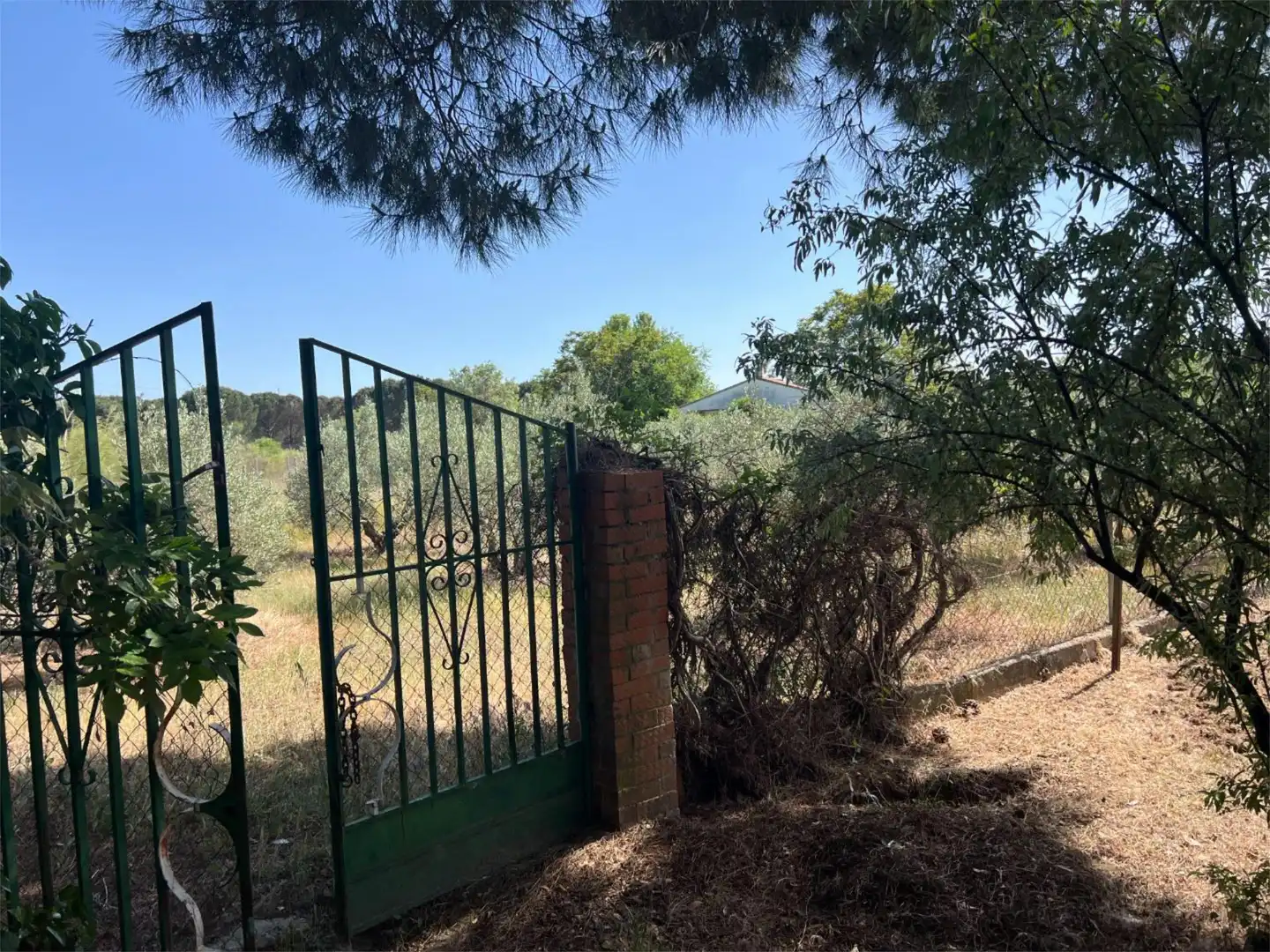 Finca rústica en  Calle Perdiz 84 - Foto 16