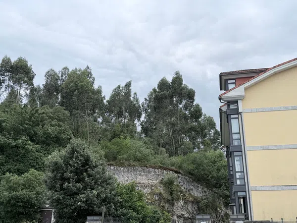 Piso en Calle Carlos Sáenz de Tejada, 5, Llanes, Llanes - Foto 4