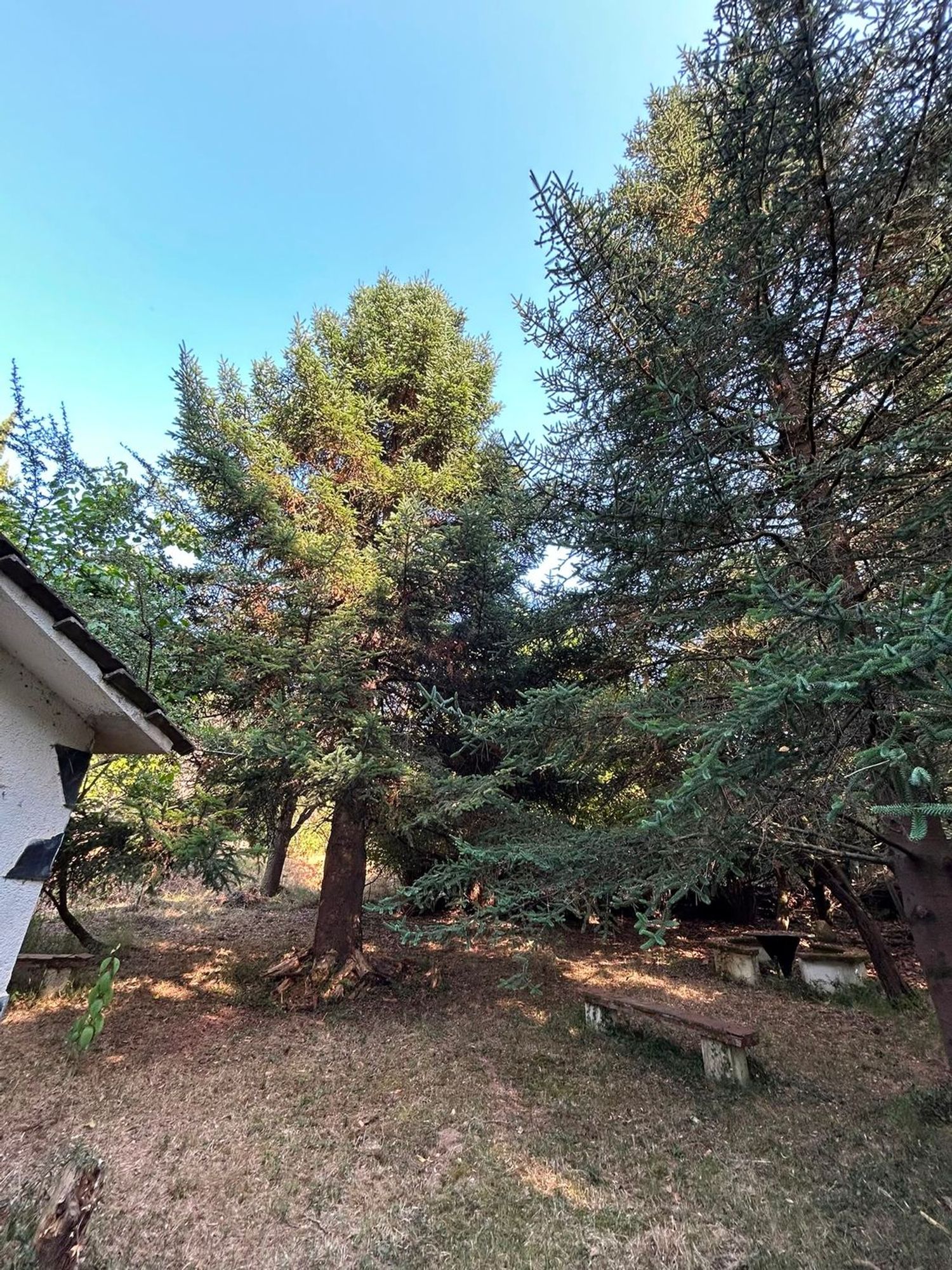 Casa terrera en Veral de Cal Negre, 19 - Foto 17