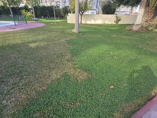 Piso en Calle Derramador, 12 - Foto 20
