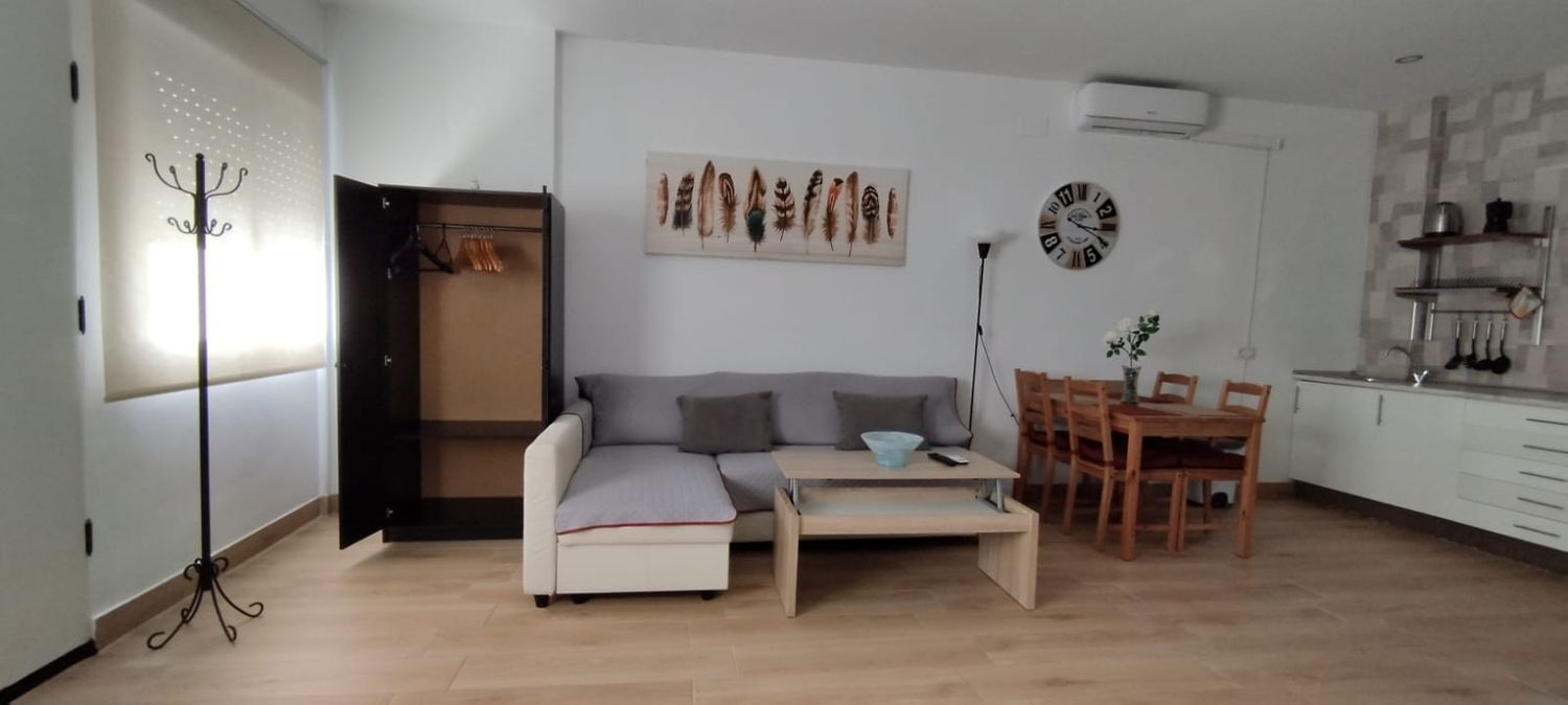 Estudio en avenida de la Aurora s/n - Foto 10