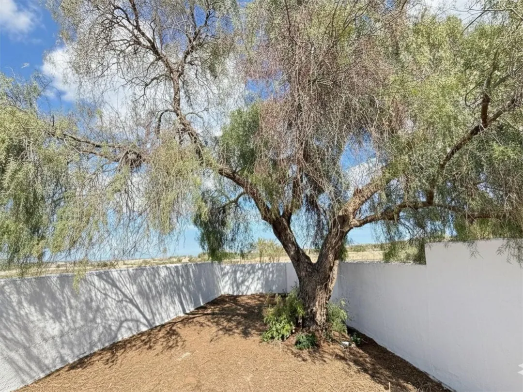 Chalet en  Partida Marina 1036A - Foto 8