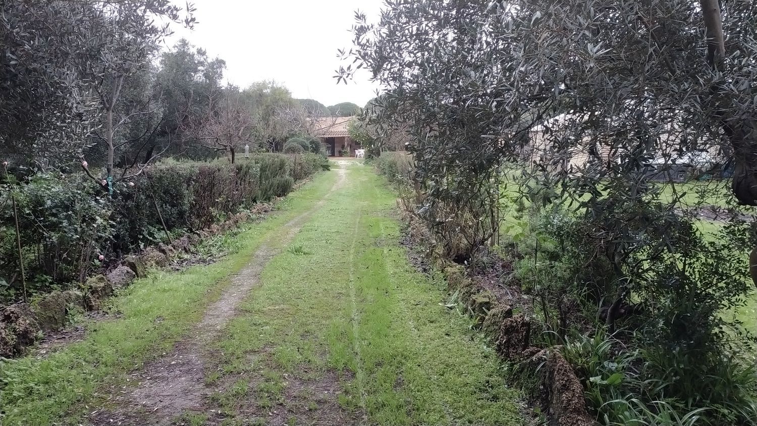 Casa rural en La Chacona, 6, Villanueva Golf, Villanueva Golf - Foto 15