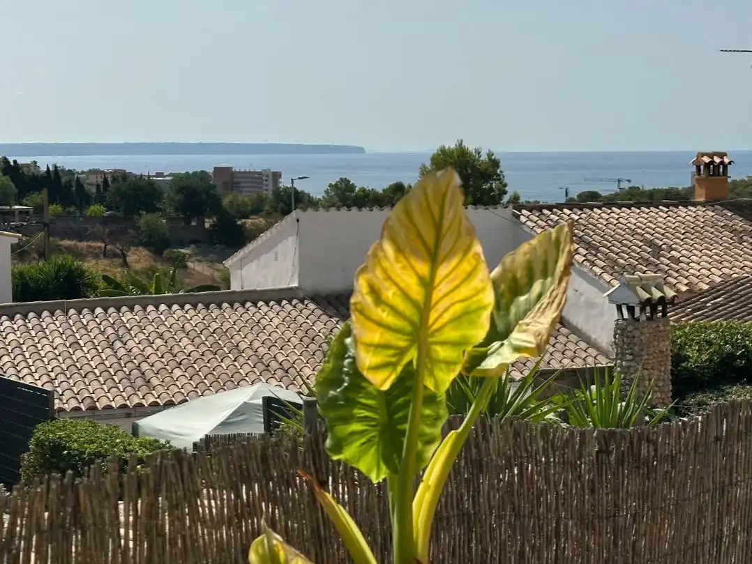 Chalet en  Palma de Mallorca - Foto 35
